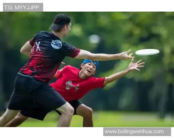 杭州飞盘队比赛经验分析与数据解读探讨